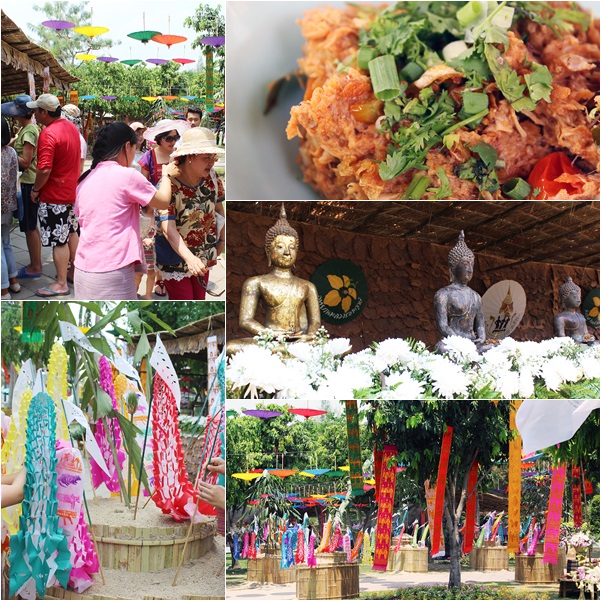 13 – 16 เมษายน 2559 ร่วมเป็นส่วนหนึ่งในการสืบสานวัฒนธรรมล้านนา ในเทศกาลปี๋ใหม่เมือง ดอกเอื้องงาม ณ อุทยานหลวงราชพฤกษ์ จังหวัดเชียงใหม่