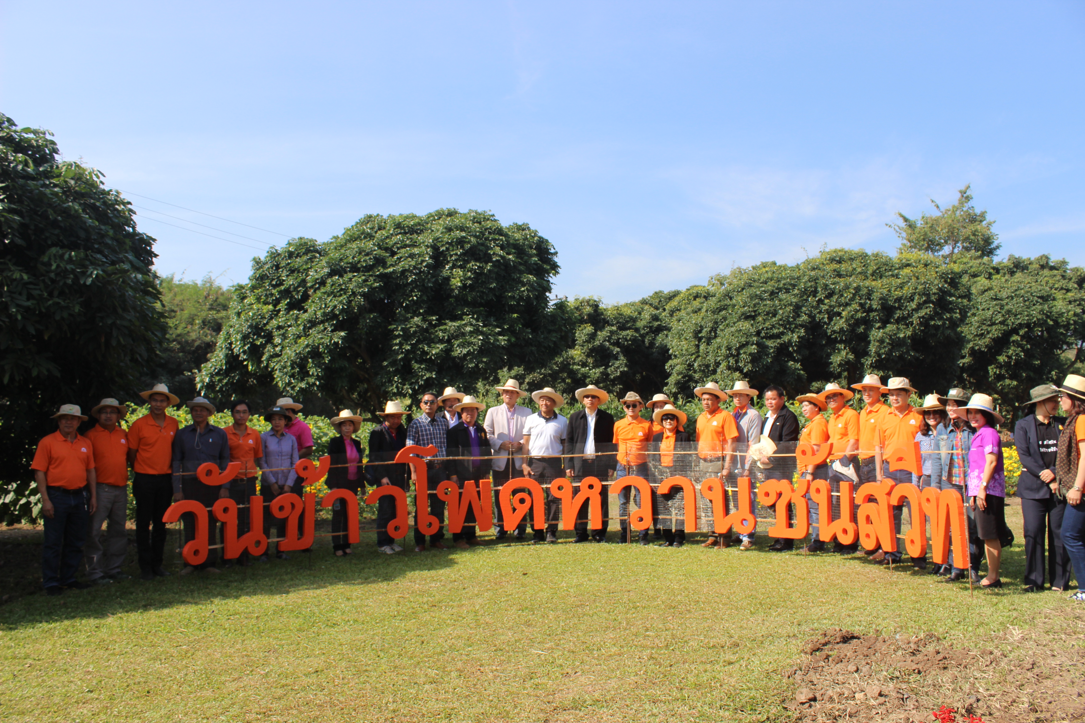 งานวันข้าวโพดหวาน"ซันสวีท" คร้ังที่ 5 