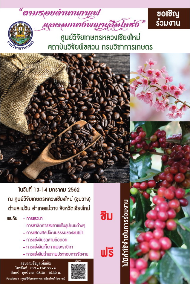 ตามรอยตำนานกาแฟ​ แล​ดอกนางพญาเสือโคร่ง