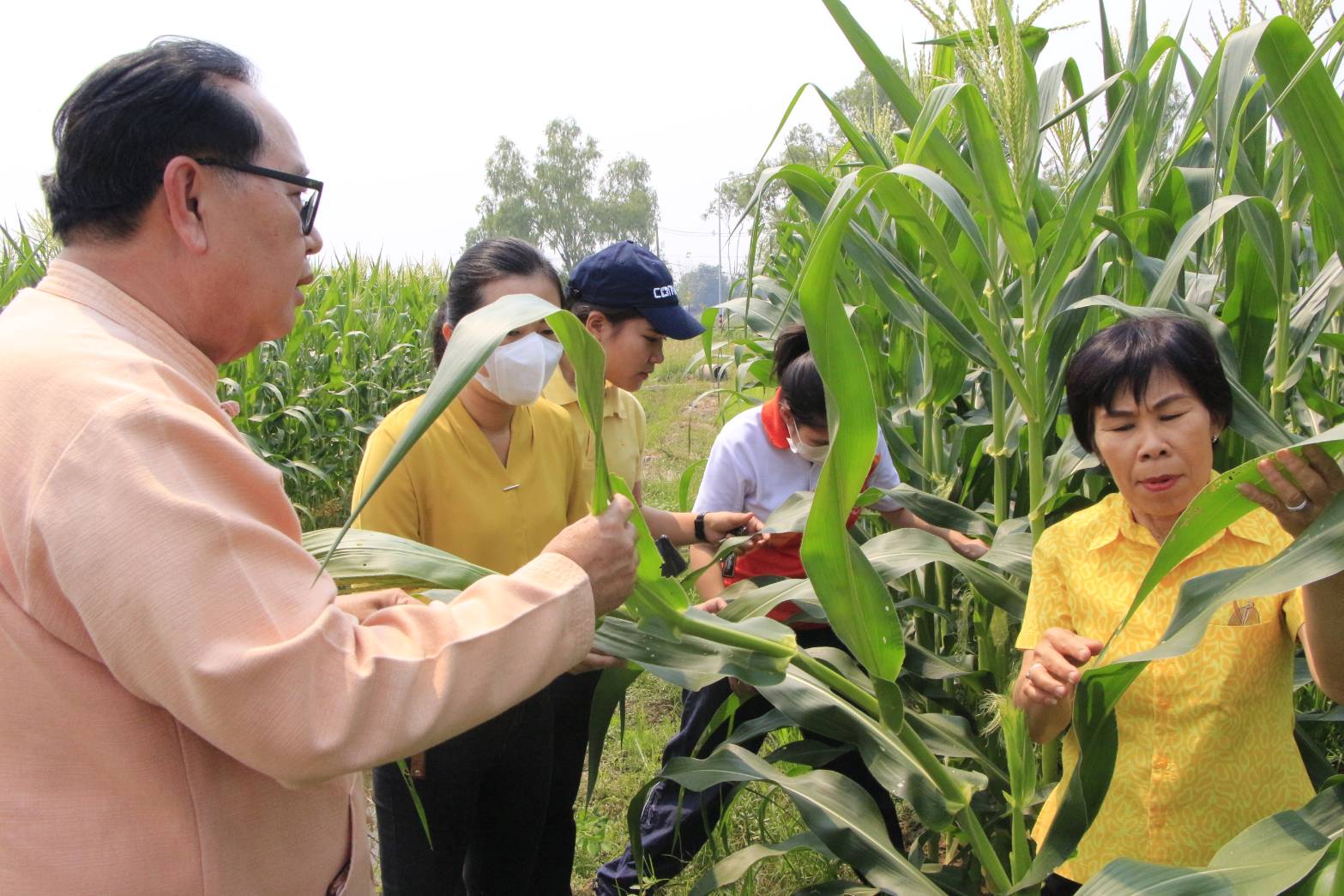 เกษตรจังหวัดเชียงใหม่ ติดตามงานในพื้นที่เรื่องสถาณการณ์การผลิตพืชฤดูแล้งในพื้นที่อำเภอแม่วาง