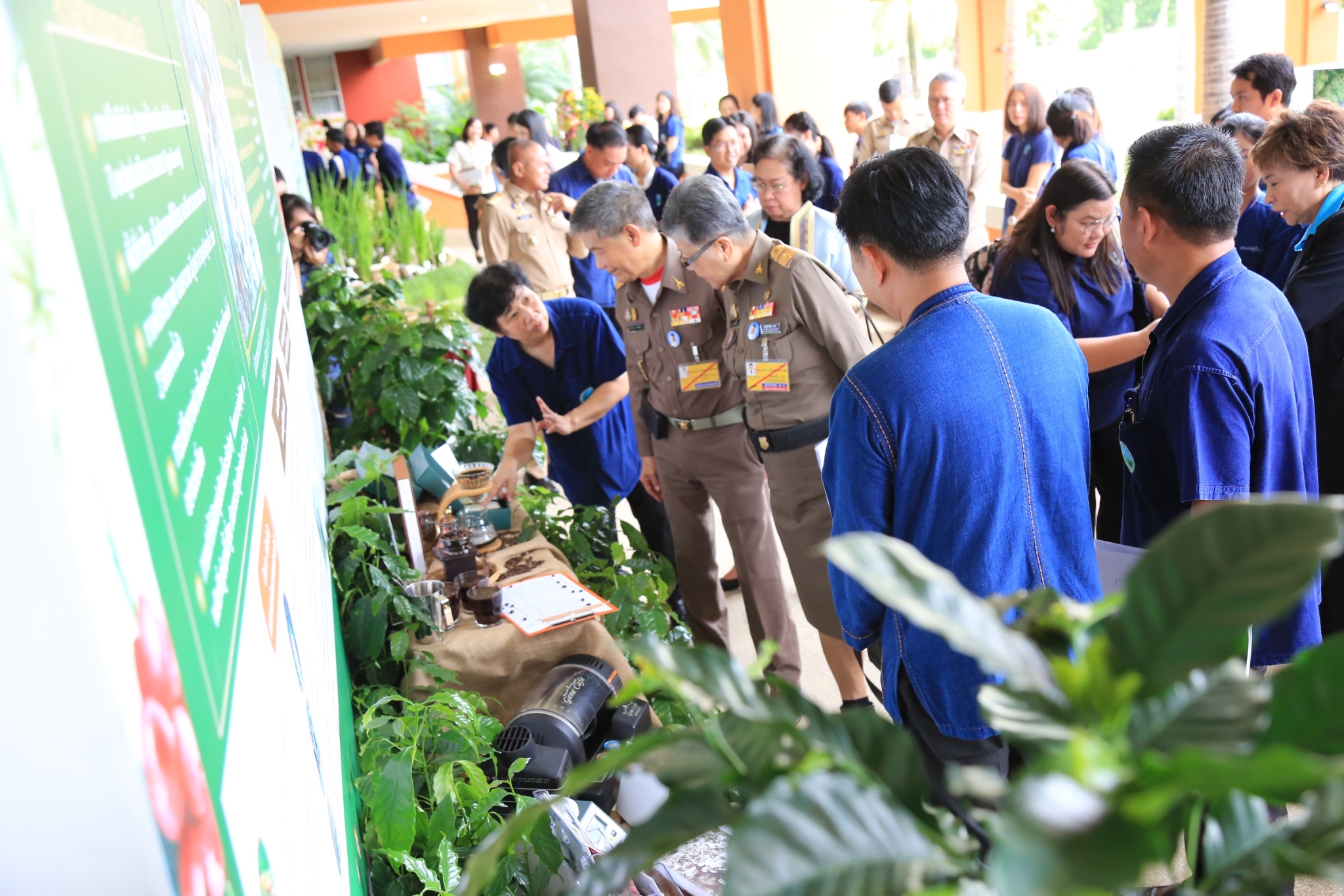 สวพส. จัดงานสืบสานงานพัฒนาพื้นที่สูงอย่างยั่งยืน 15 - 16 สิงหาคม 2562