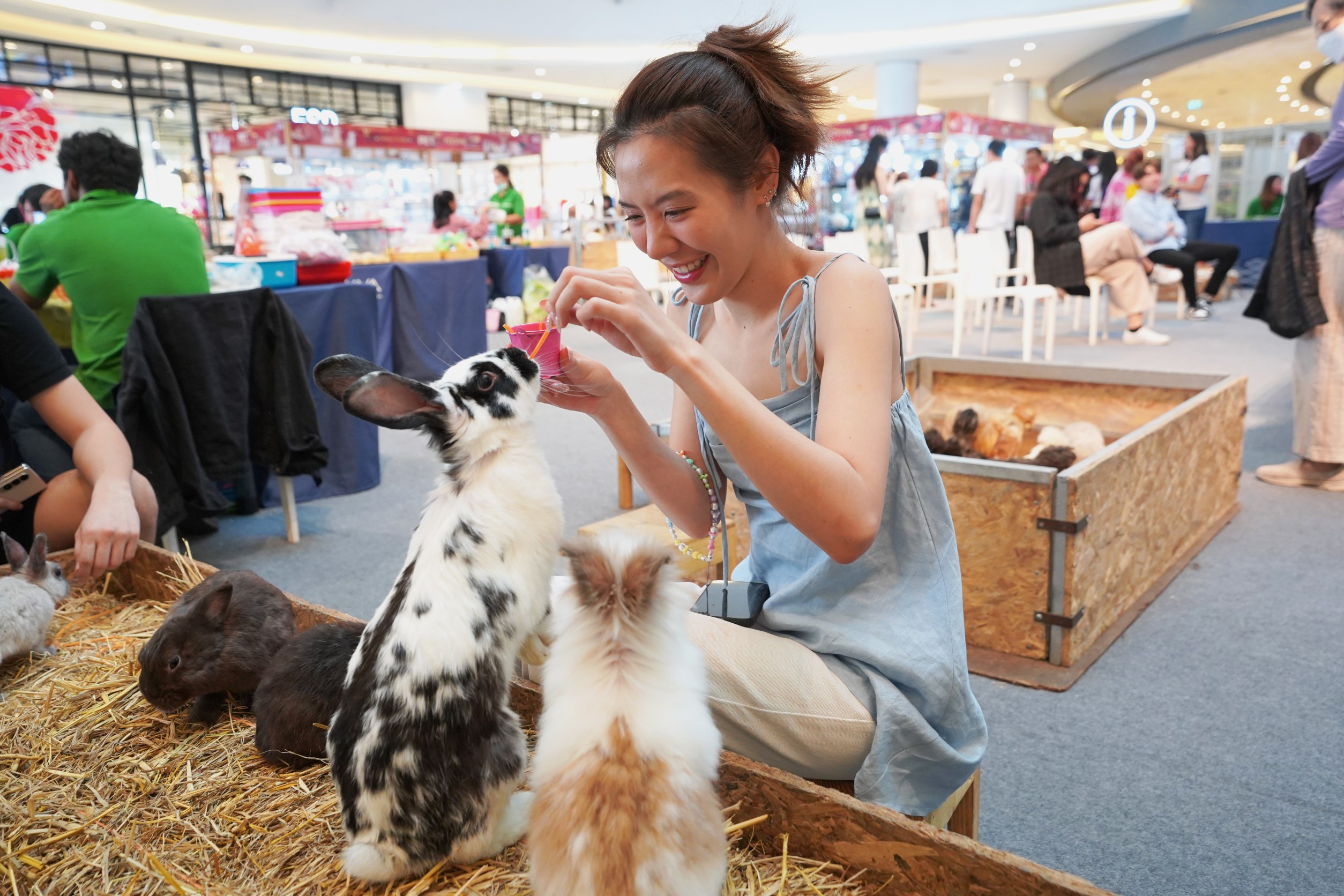 เริ่มแล้ว! “PET FESTIVAL” เทศกาลสัตว์หรรษามหาสนุก  ระหว่างวันที่ 2-12 มี.ค. 66 ที่เมญ่าฯ เชียงใหม่