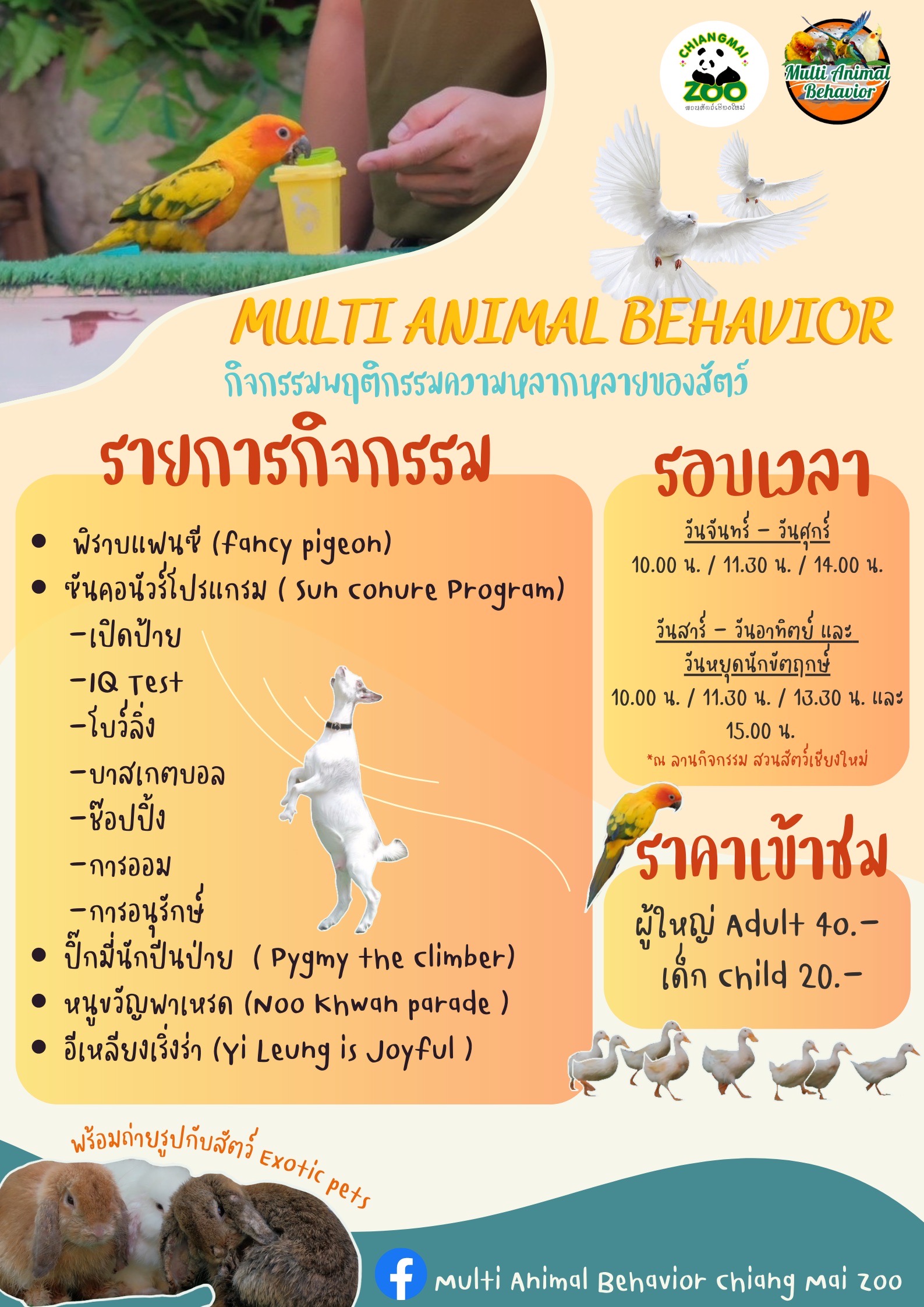 สวนสัตว์เชียงใหม่เปิดให้เข้าชม พฤติกรรมความหลากหลายของสัตว์ ณ ลานกิจกรรมสวนสัตว์เชียงใหม่