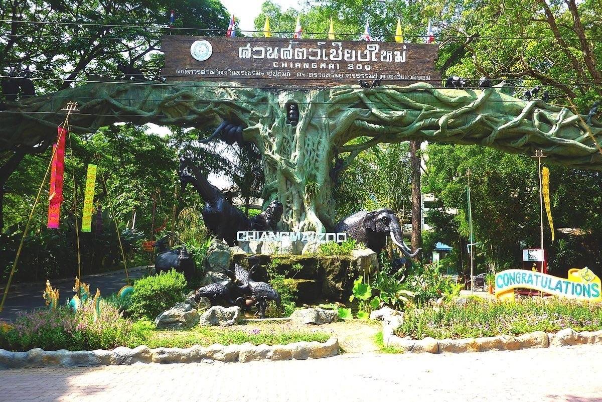 เด็ก ๆ มีเฮ! 5 ธันวานี้ เข้าชมฟรี!!! ที่สวนสัตว์เชียงใหม่