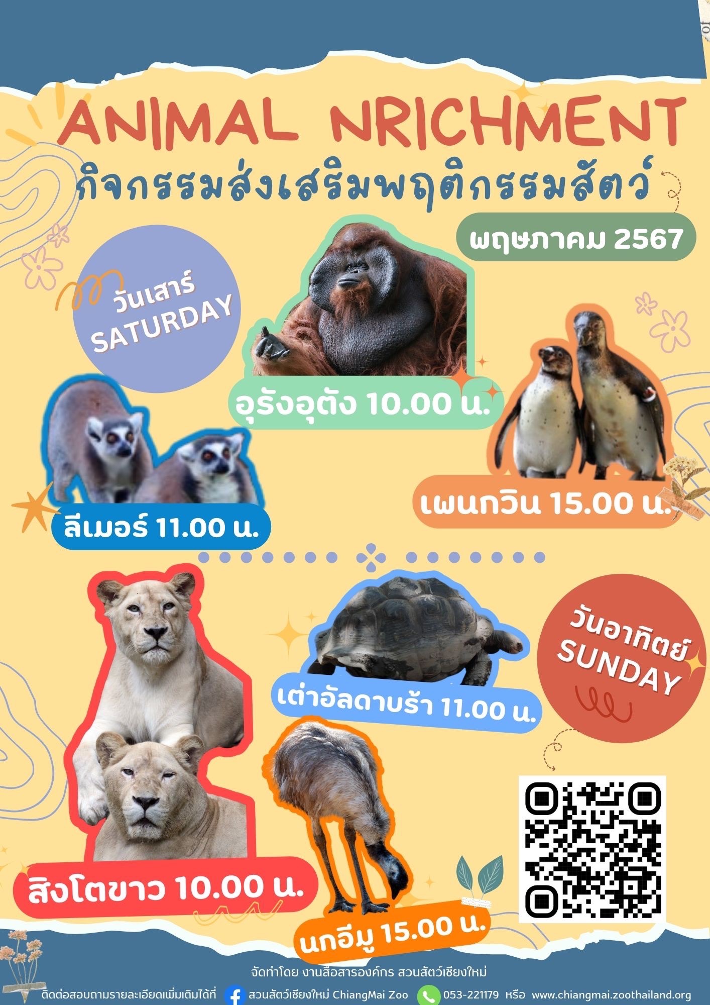 สวนสัตว์เชียงใหม่ จัดกิจกรรมส่งเสริมพฤติกรรมสัตว์(Animal Enrichment) เดือน พฤษภาคม 2567