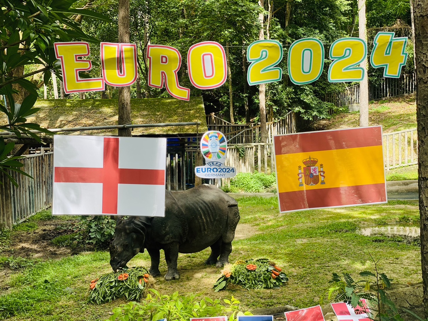“กาลิ” แรดอินเดีย หนึ่งเดียวในไทยทายผลหนึ่งเดียวแชมป์บอลยูโร 2024