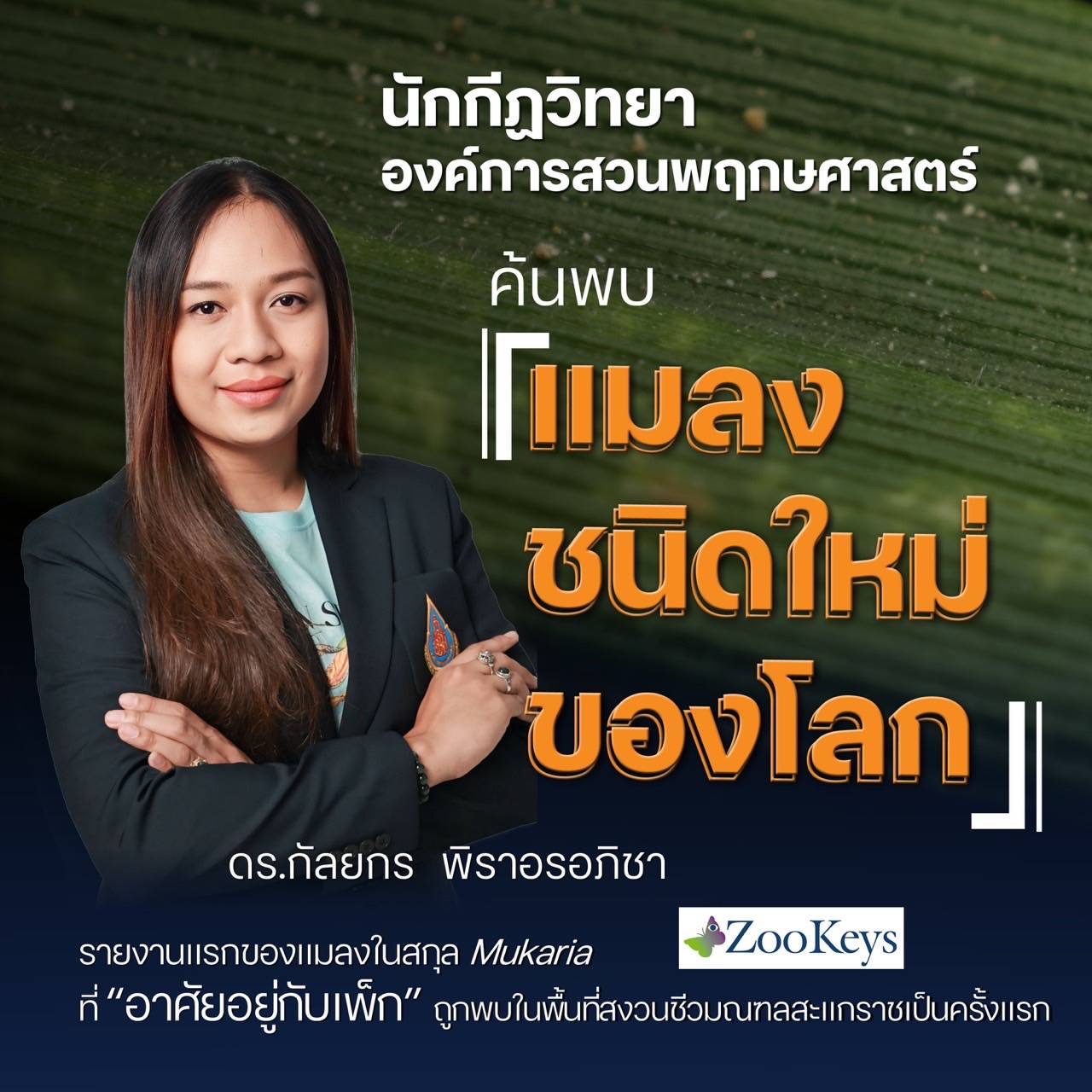 นักกีฏวิทยา องค์การสวนพฤกษศาสตร์ ค้นพบแมลงชนิดใหม่ของโลก “เพลี้ยจักจั่นสะแกราช”